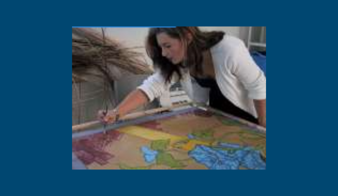 Topic of the year 2011 – Labour Market, Economy, and VET between European and international Developments and Demands