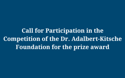 Call for Participation: DIE Europa Award
