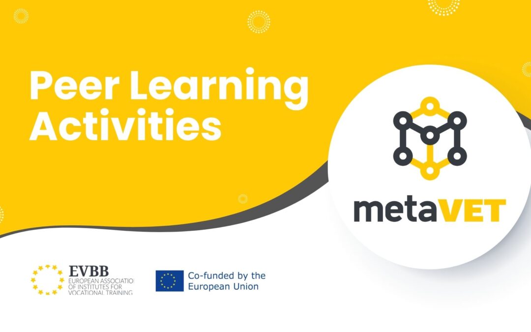 Peer Learning Activities Meta -VET