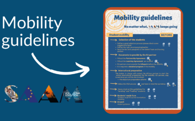 Guidelines for Enhancing International Mobility in VET: Focus on Erasmus+ Participants from Africa