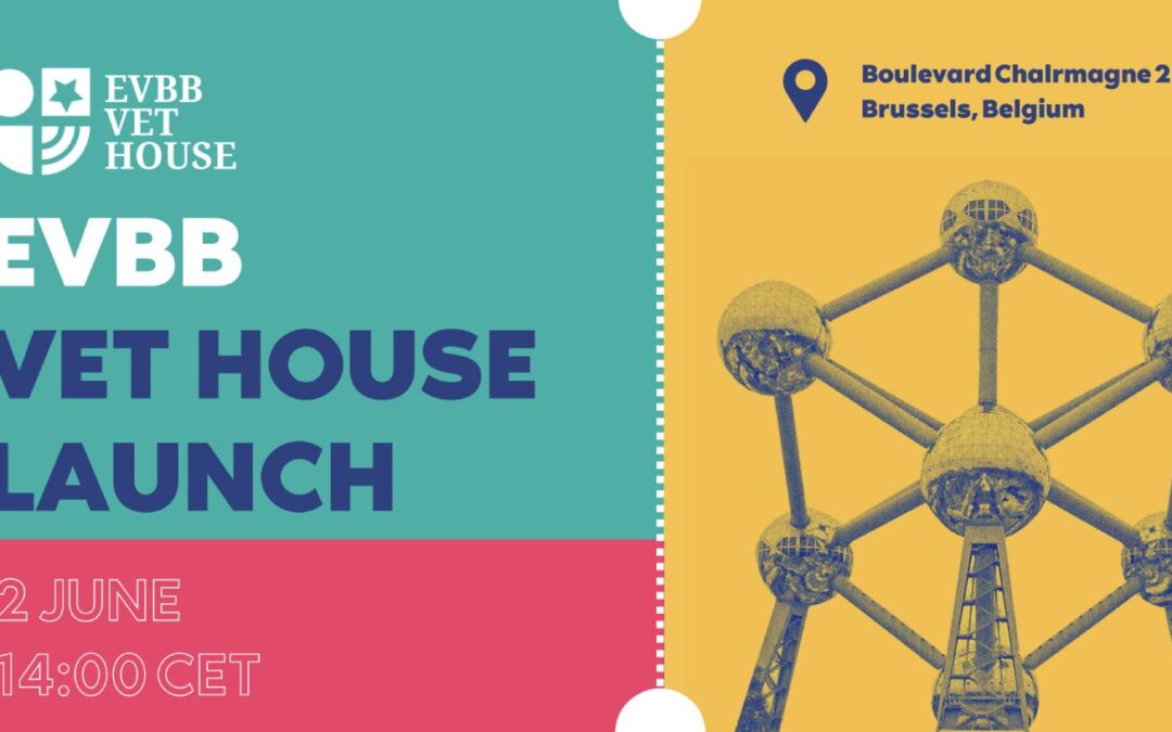 EVBB Launches the VET House – A New Hub for Skills, Knowledge, and Advocacy in Europe