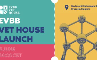 EVBB Launches the VET House – A New Hub for Skills, Knowledge, and Advocacy in Europe