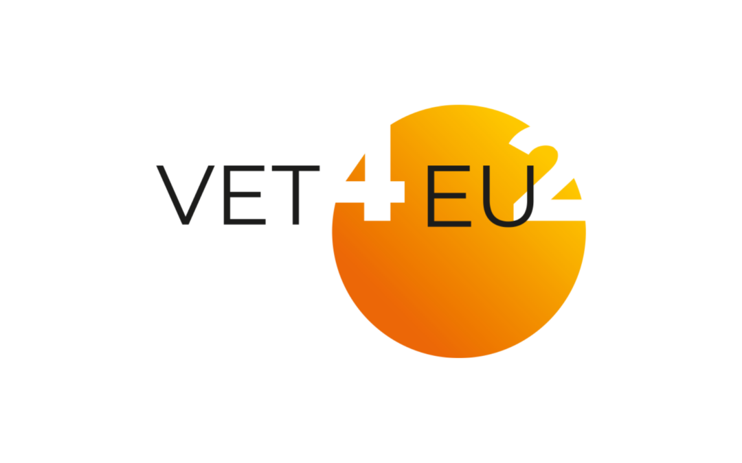 VET4EU2 Welcomes the Appointment of Ylva Johansson as Chair of the European Commission Skills High-Level Board