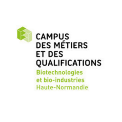 LOGO - 2023-10-16T184937.750